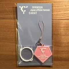 Item thumbnail for item 139e6e61-16cb-49c5-95b1-151986d94c1f