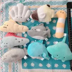 つぶらな瞳の水族館 ぬいぐるみ キーホルダー まとめ売り つぶらな瞳シリーズ