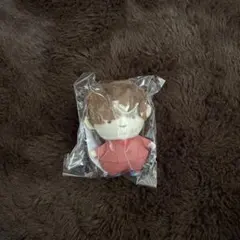 【新品未開封】超特急 タカシ ぬいぐるみ マスコット