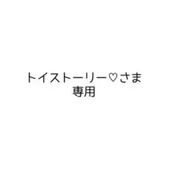トイストーリー♡さま専用