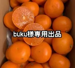 buku様専用出品