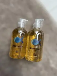 Item thumbnail for item 70dd9818-1b79-446a-8899-bf1a479ecca4