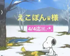 えこぽん♛様 専用ページ