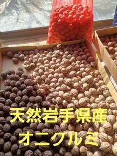 2025年最新】鬼クルミ 食品の人気アイテム - メルカリ