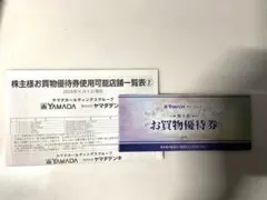 ヤマダ電機 株主優待 5000円分　ヤマダデンキ