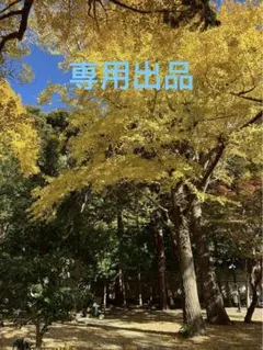 タートルネックセーター