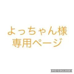 よっちゃん様専用✨️最終値下げ✨️ Starbucks スターバックス 巾着 ポーチ