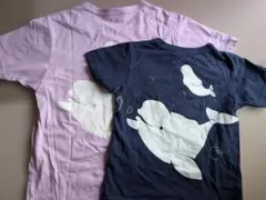 ojico Tシャツ 2枚セット 親子ペア シロイルカ 3〜5歳のサムネイル