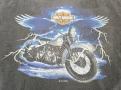 2014年ジャマイカ限定】Harley-Davidsonスカル&イーグル - メルカリ