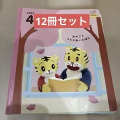 2026年最新】こどもちゃれんじ ぽけっとの人気アイテム - メルカリ