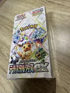 2025年最新】シュリンク テラスタルフェスの人気アイテム - メルカリ