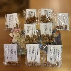 かめ様専用！ページです。