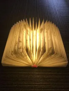 Item thumbnail for item a4405a89-39b7-4503-af27-a0864f2e9b2a