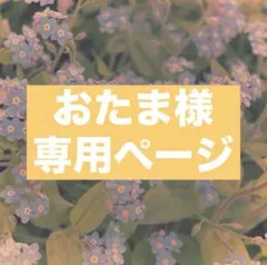 おたま様 リクエスト 3点 まとめ商品