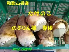 和歌山県産 たけのこ のぶりん様専用