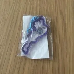 琵琶湖 アクリルキーホルダー レイラック