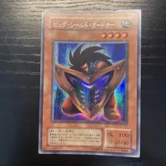 ビッグ・シールド・ガードナー - メルカリ