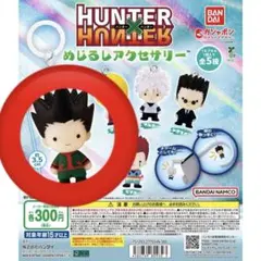 HUNTER×HUNTER めじるしアクセサリー　ゴン