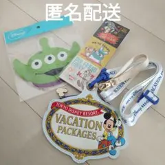 ディズニーランド土産　メモ帳　バケーションパッケージパスケース