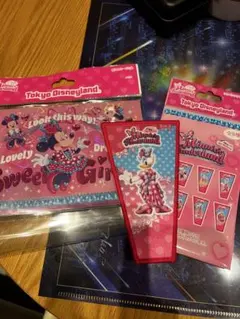 ミニーパルパルーザ　ワッペンアクセサリー　デイジーポストカード付　売り切れ