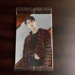 SEVENTEEN JOSHUA ウエハース トレカ