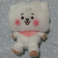 BT21 RJ ぬいぐるみ