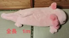 新品 抱き枕 100cmでっかい！ウパ ふわふわぬいぐるみ タグ付き YELL