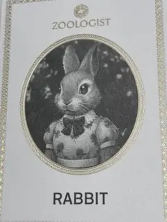 2025年最新】ズーロジスト ラビットの人気アイテム - メルカリ