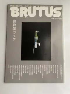 BRUTUS 2020年8月号