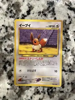 イーブイ_プレミアムファイル2 PROMO 第2世代（☆neo・☆VS・☆web