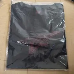 aespa rich man popup MD ロングtシャツ