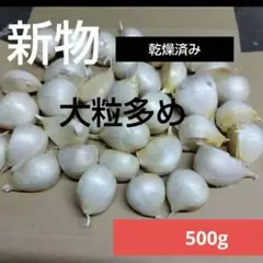 新物　青森県産 にんにく　福地ホワイト　 大粒多め 500gのサムネイル