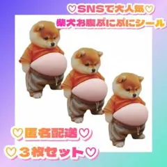 ♡大人気♡　新品未使用　おなか ぷにぷに シール 柴犬 ステッカー 　３枚セット