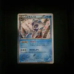 ユキメノコ　cp3