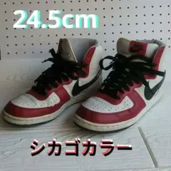 ナイキ　ターミネーター　ハイカット　シカゴカラー　24.5cm