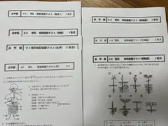 2026年最新】浜学園 小6 復習テストの人気アイテム - メルカリ