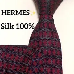 【極美品✨】HERMES ネクタイ チェーン柄 赤系 シルク100%
