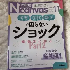 Item thumbnail for item 0305599f-fac9-4108-bbef-6194272372a0