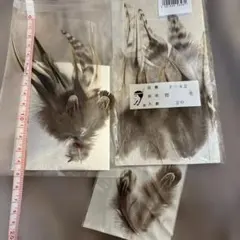 ユザワヤ購入 天然羽根セット 腰毛 フェザー