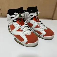 Air Jordan 6 ゲターレード 26cm