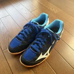 Item thumbnail for item 46163f7d-028f-4b0b-955a-234cd1d5f6df