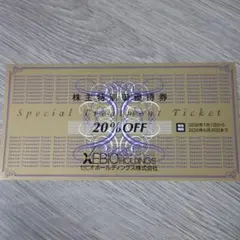 ゼビオホールディングス　株主優待券　20%割引券