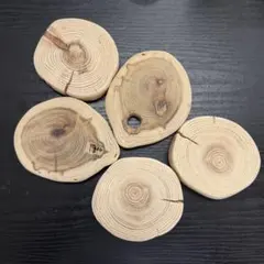 流木インテリア