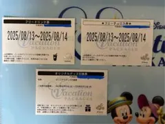 r.....さま専用◇ディズニー バケーションパッケージ フリードリンク券のみ