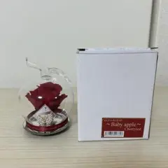 [희귀/품절] 베이비 애플 체리 레드 프리저브드 플라워