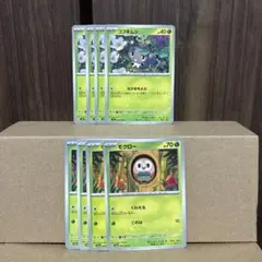 コフキムシ　モクローのサムネイル