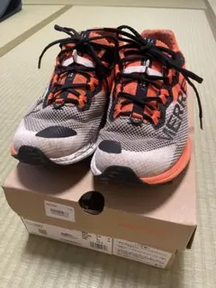 Item thumbnail for item 4c136d2a-ed03-4e66-9ddd-e1e12b65eab9