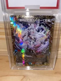 2026年最新】カイザー刃鬼金トレジャーの人気アイテム - メルカリ