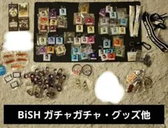 2025年最新】BiSHまとめ売りの人気アイテム - メルカリ
