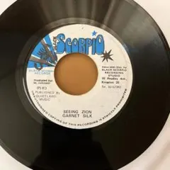 The Seeds 7インチレコード Pushin' Too Hard - メルカリ